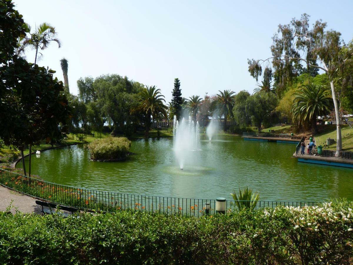 Mansarda Dos Aranhas By Madeira Best Apartments Funchal  Ngoại thất bức ảnh